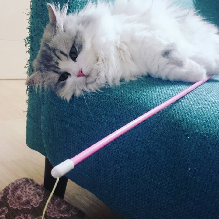 64baf837 dfc1 4192 8257 bae3546c674d