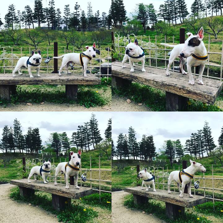 64bb2b10 a4e6 4f03 847e c6627705ebf3