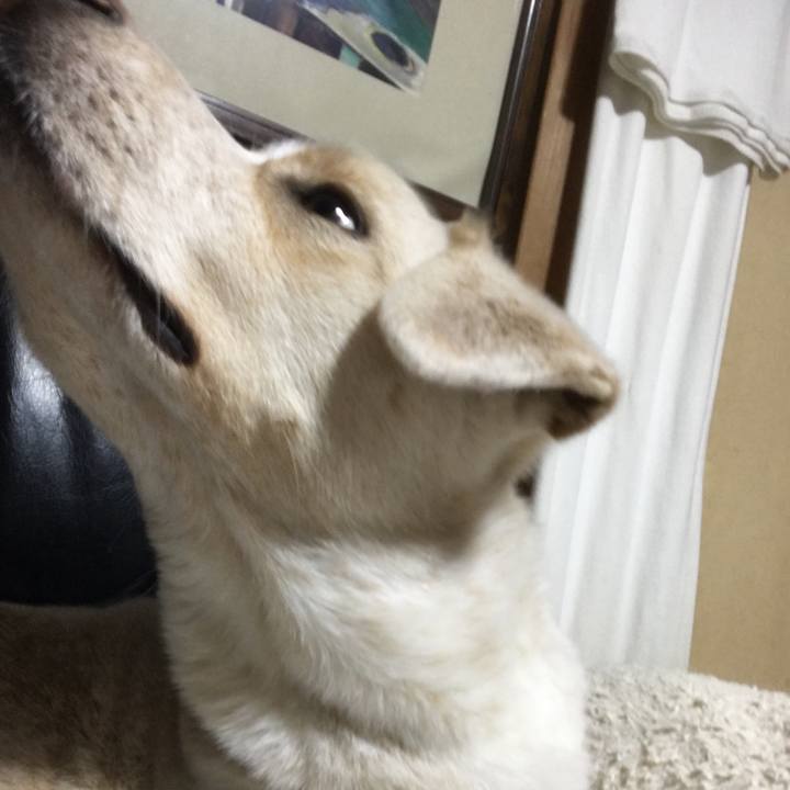 64bb9855 3ff2 4909 92b0 f63b23437d57