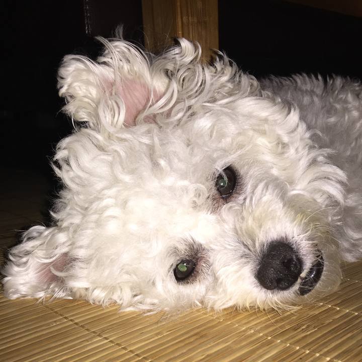 64bc1ea8 8abb 4cc1 b343 9430933ea263