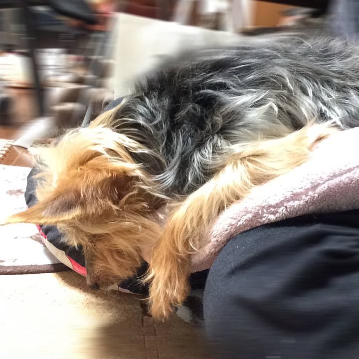 64bd3454 adb4 4da4 a2cf 207d281a74da