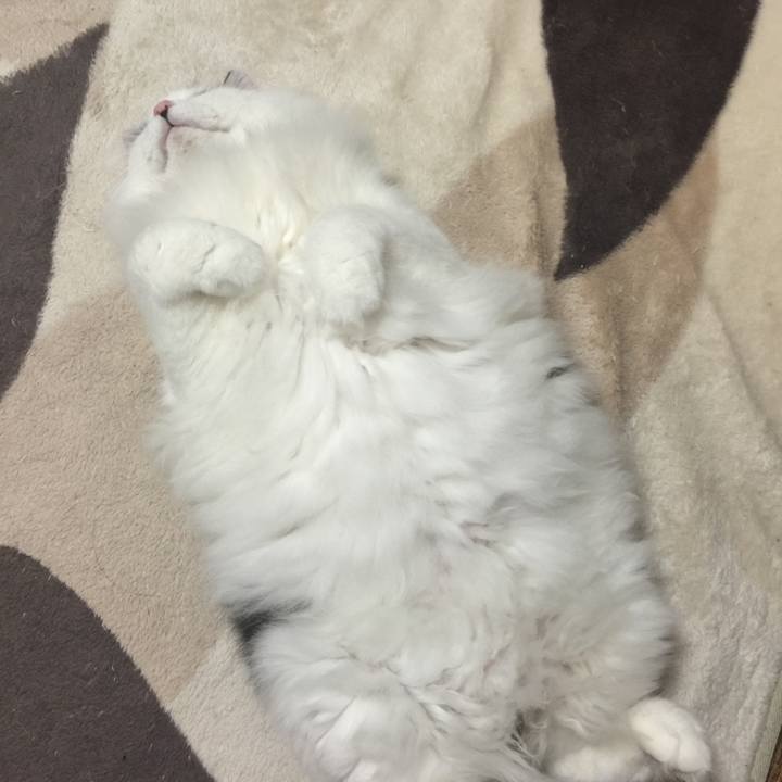 64bd8803 b35e 4f08 9c41 acfb9db37ada