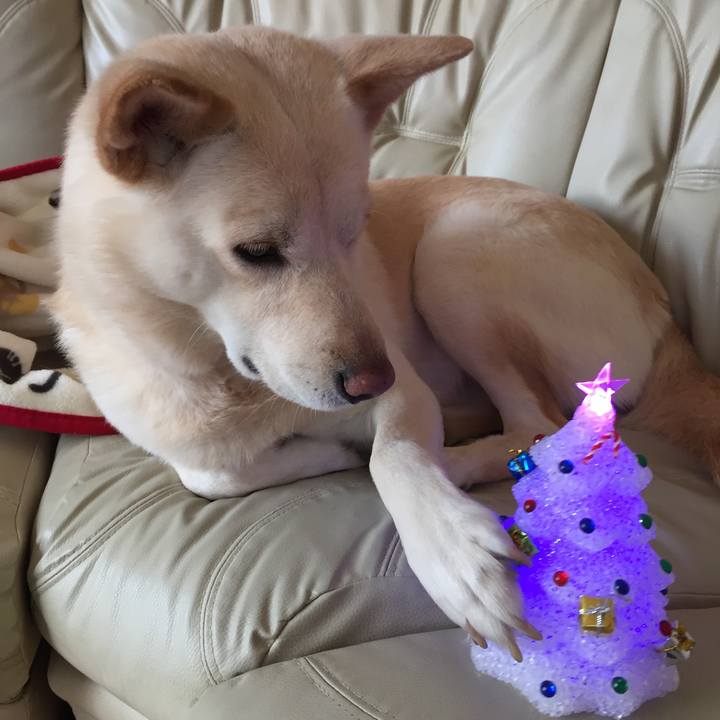 64bdefb1 1d3e 4a79 ad37 58421d3eac53