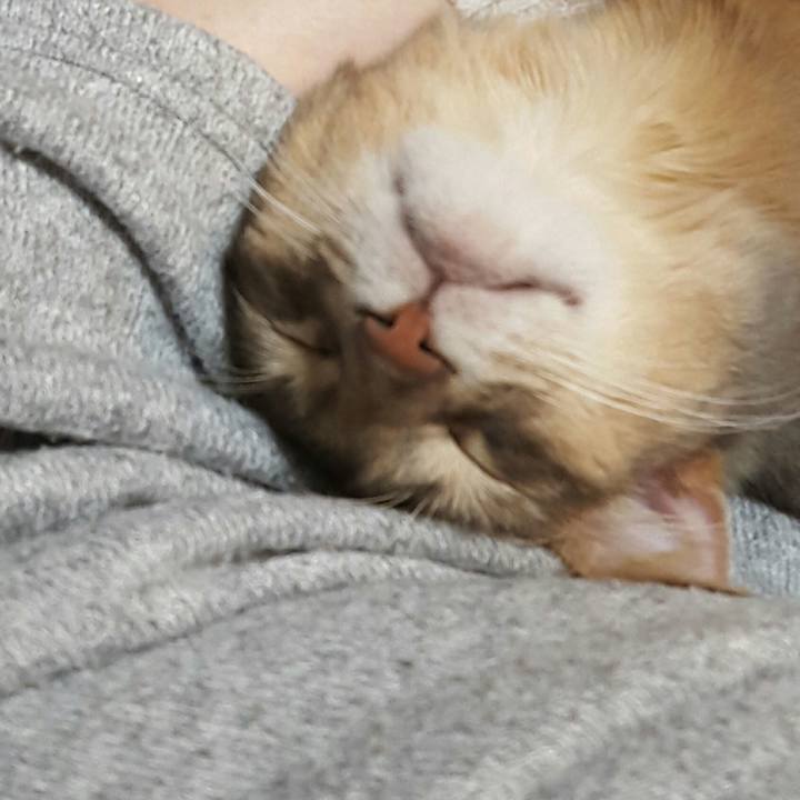 64bf64e2 5b92 45b7 b329 84941d4ce55b