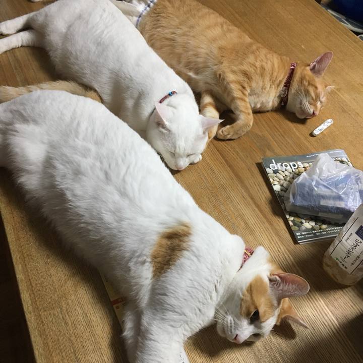 64bf87f0 23b6 42e0 89e3 55a73115ee36