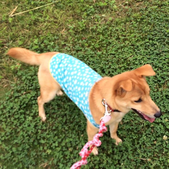 64bfac69 83eb 49f1 8c33 e16f9effdefa