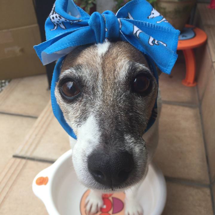 64bfbe34 b1c8 4690 8224 005204010940