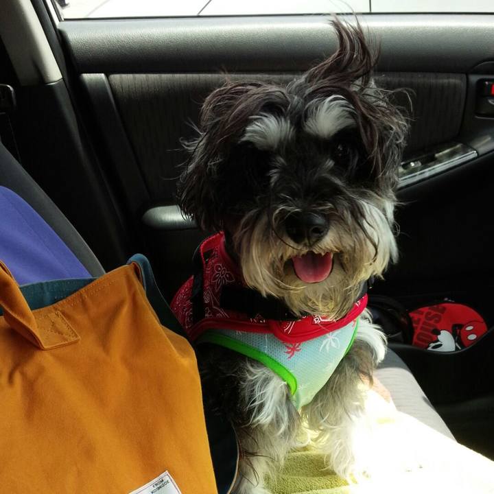 64c1c46a e6c8 40b0 b596 5e9d63bc40a7