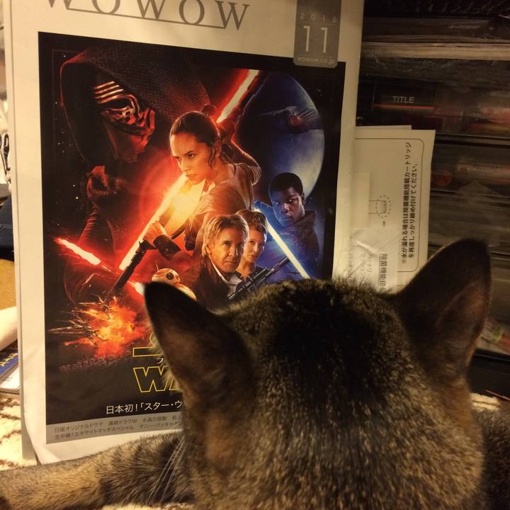 64c23ce6 7939 446d a890 04091bbdcbb5