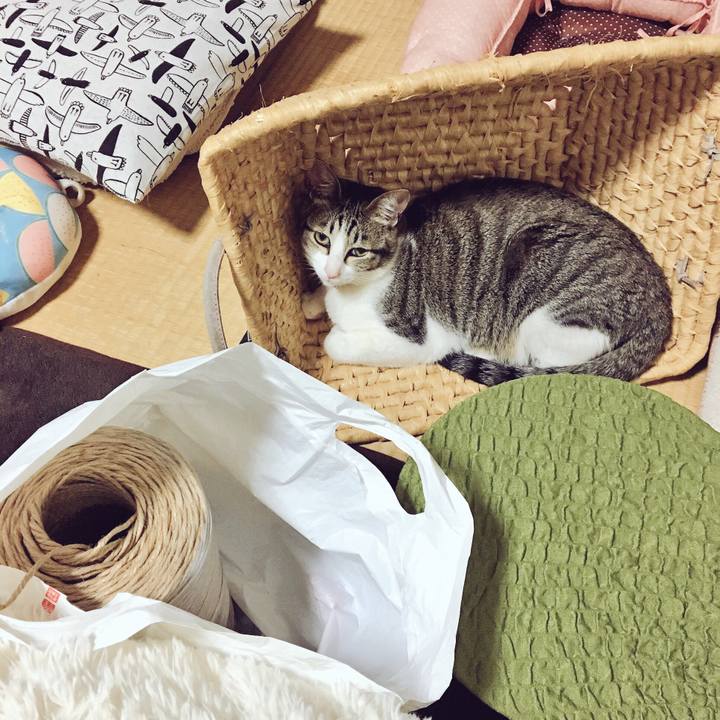 64c23e01 cf18 4961 9066 277fc9774af9