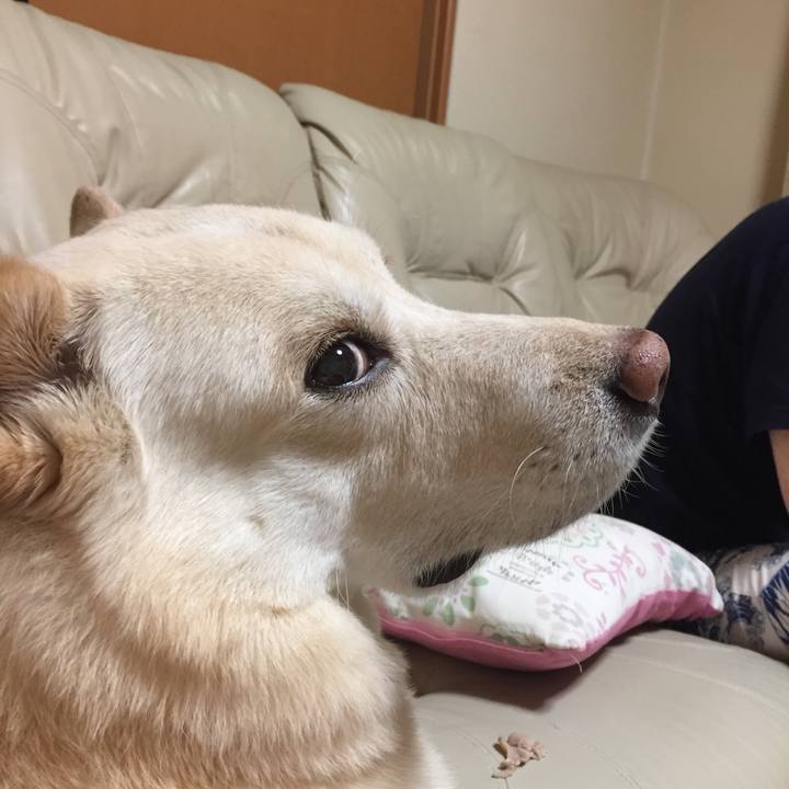 64c29184 f7e4 4751 95a6 5b2b6ab06318