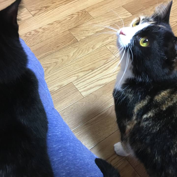 64c2a5b3 5552 4a6a b9cc cdc2bed0fe12