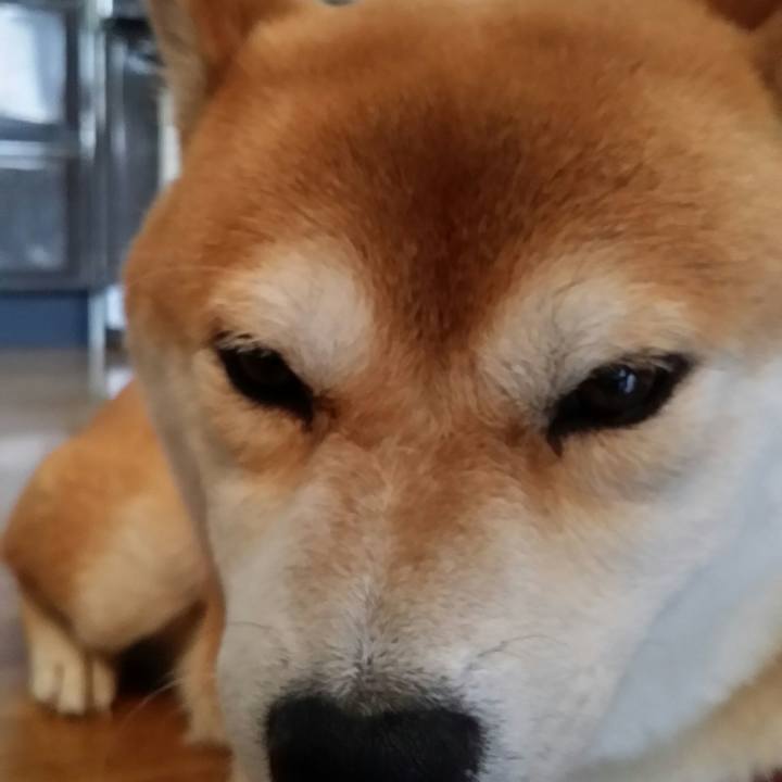 64c33c69 a71f 44c5 bf82 00b6df8a6017