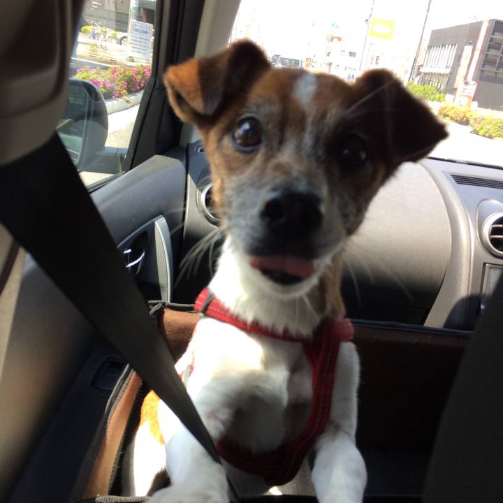 64c3591d 3dd4 438e aa7e 61c36886b12c