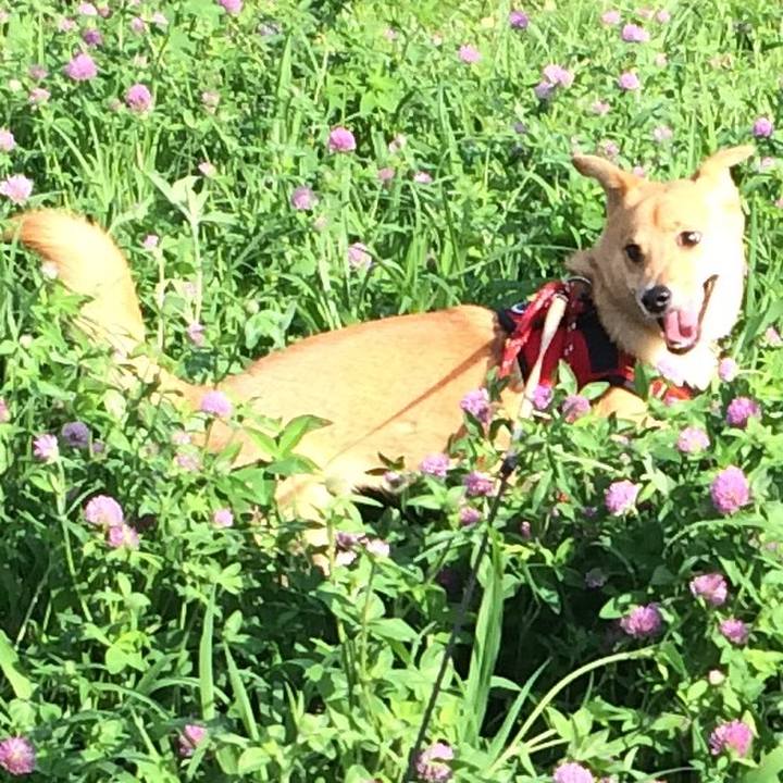 64c37277 82a1 401e 83e4 185d25ddc439