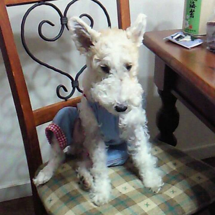 64c42db3 1645 4b97 a14f 843949e4d9ca