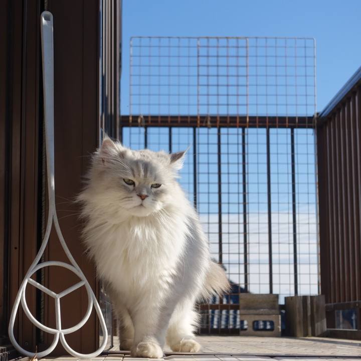 64c447e6 b68b 44c9 a9af daadd7354247