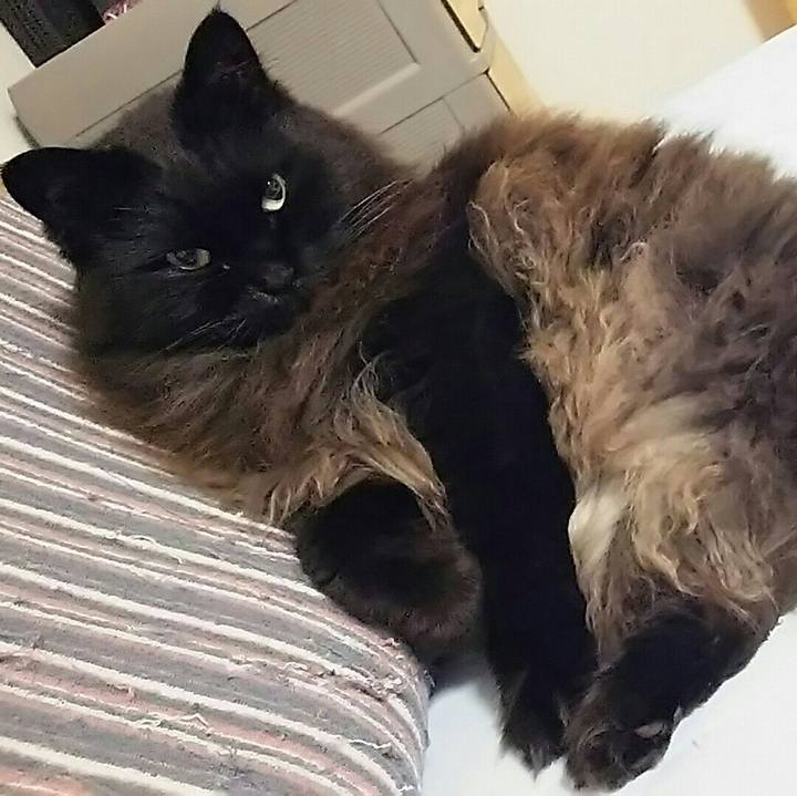 64c527c2 32e8 4256 b725 20677fc52b64