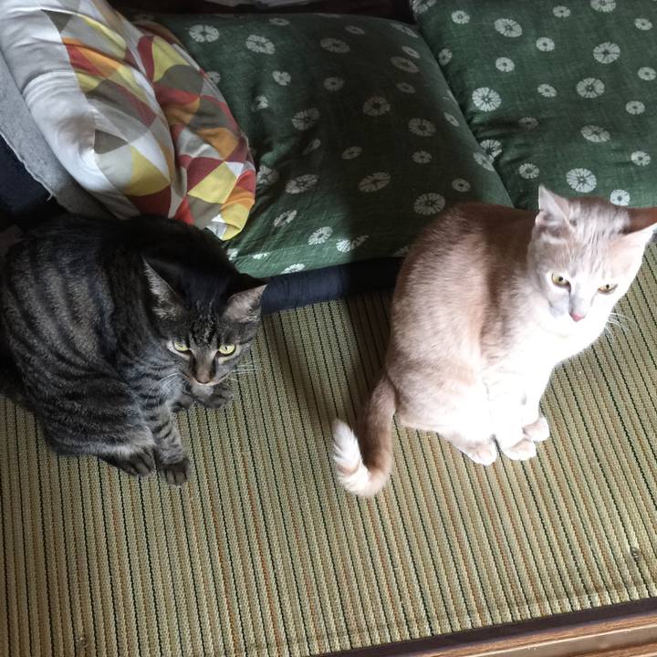 64c54a6b d2a9 482e aa0e f48bbcf67a08