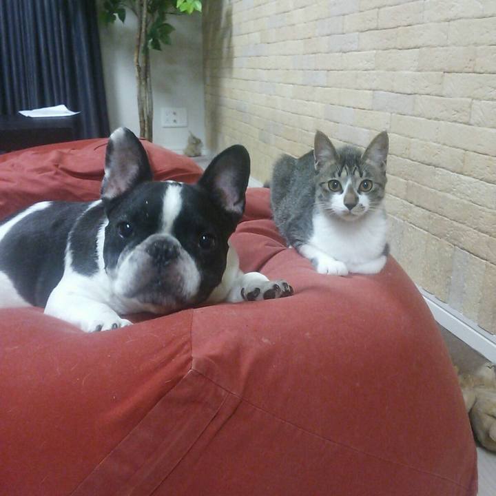 64c6710d 000e 4c7f bcef cbc04e097f67