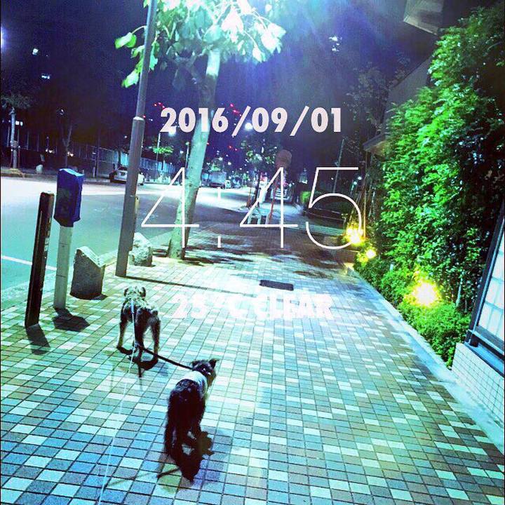 64c6bbf4 cc9d 48c6 bfee a45a87e34b4a