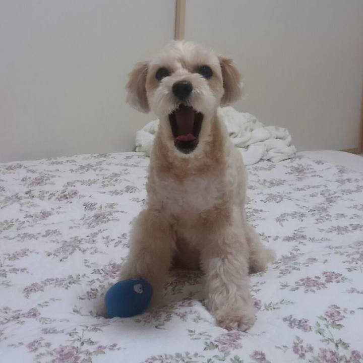 64c706c2 342f 487b bbf5 298a472f8a38