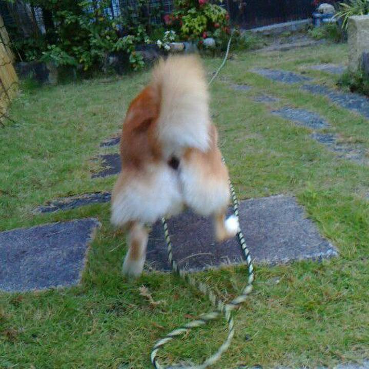 64c754ba 44c5 49d8 883c c7c3fec92fb7