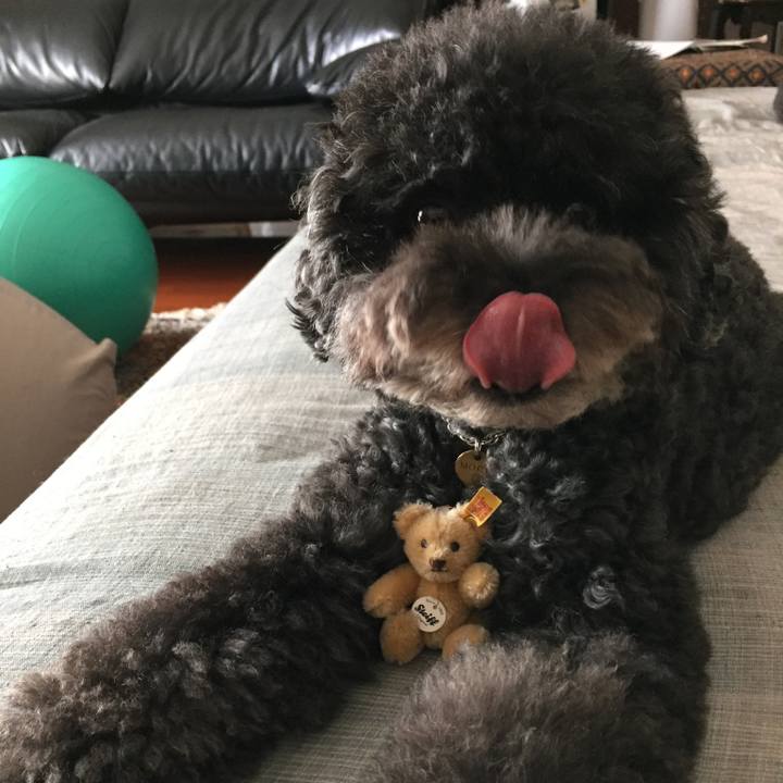 64c76ebc 74c7 4fd7 accb 3f58fd846a22