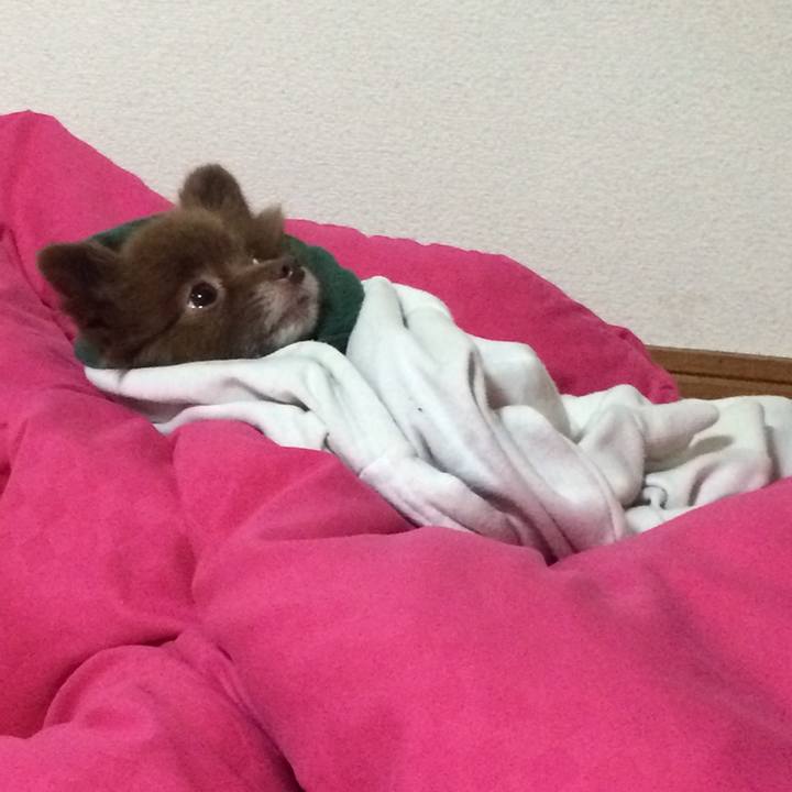 64c77c36 8b47 40e8 ba08 5b499f256a38