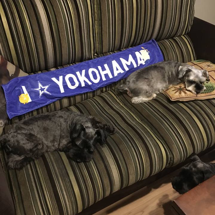 64c7a509 f144 4fd8 94bf 946ba3e0826d