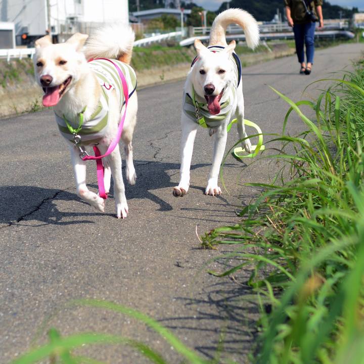 64c80cc6 8a38 4cde 8d49 a50cc3543a43