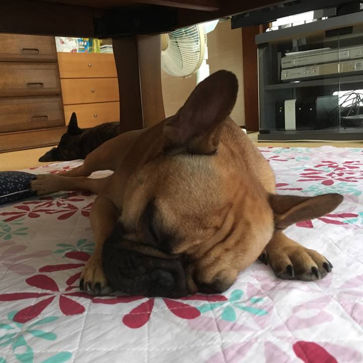 64c83ade b13e 429e 8445 ca69c0065a41