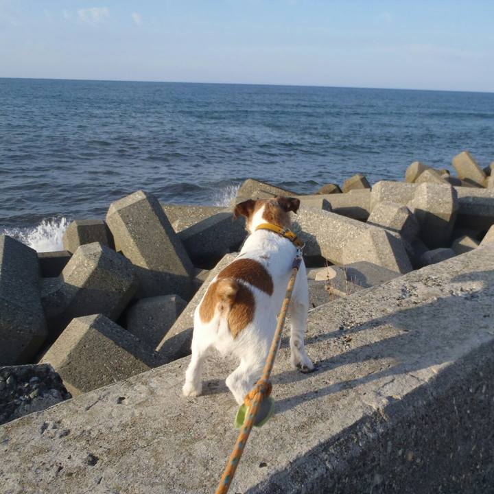 64c870ac 52a7 4aa7 a332 a6fc1e966bb6