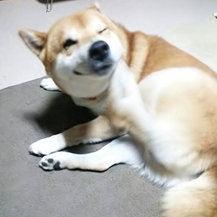 64c877cf faec 44a6 a376 f09762d78f20