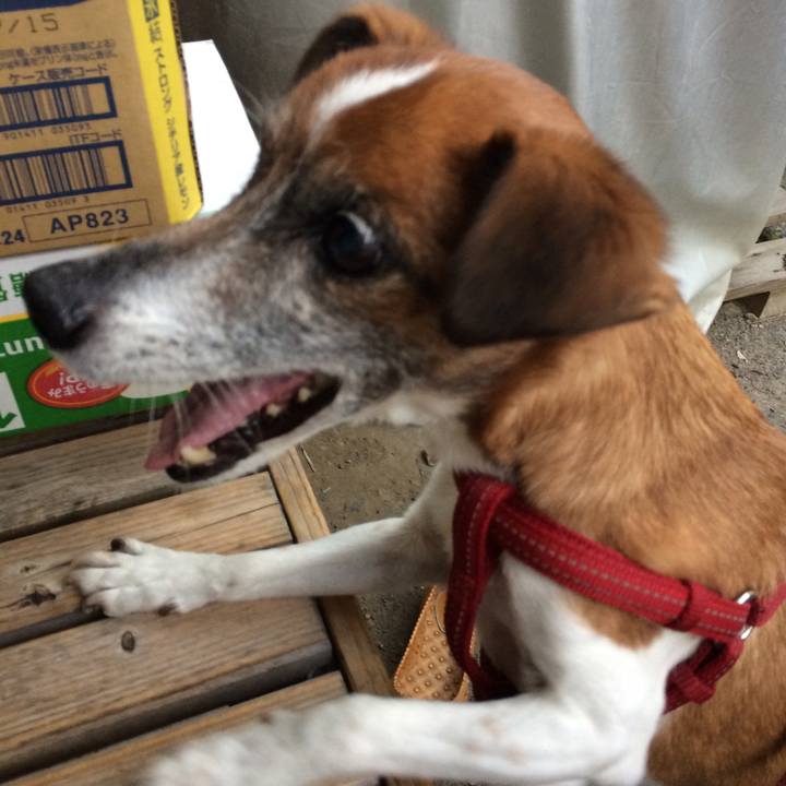 64c8d6c8 1989 42dc ac41 bc61eacc8ca8