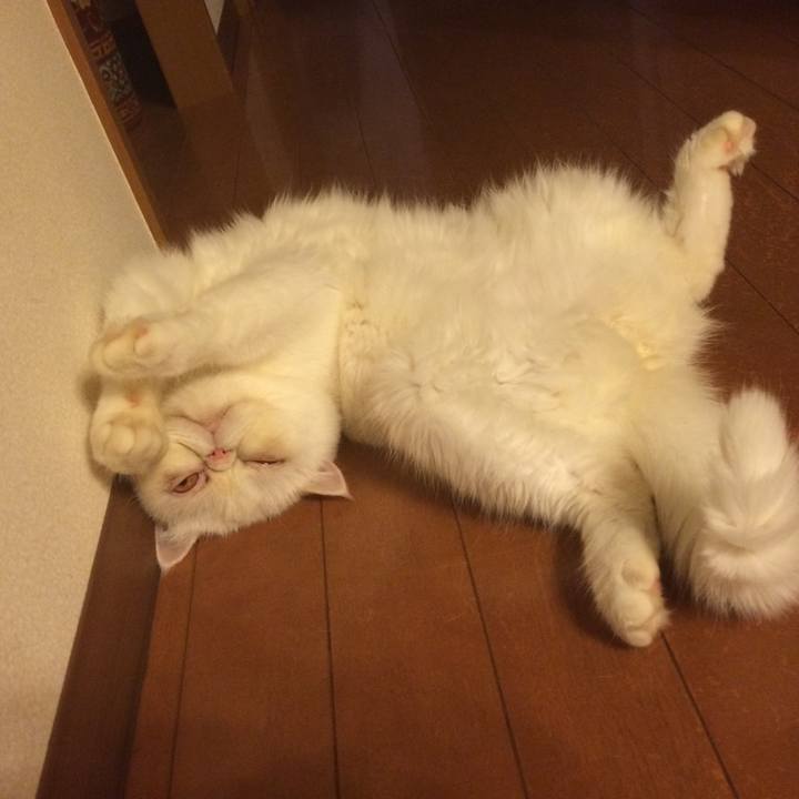 64c964f7 4e00 44a9 bc2c ce144b7f7a88