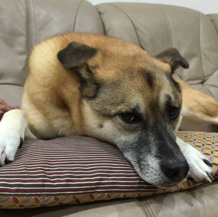 64c9c428 6318 40c6 b3e8 16453ea9ab08