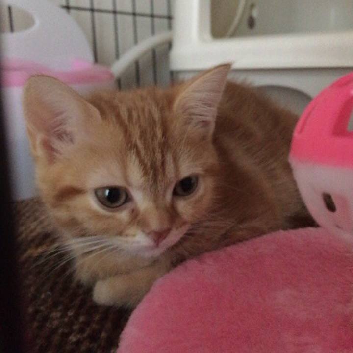 64c9cba5 0850 409a a848 310de3f22bb4