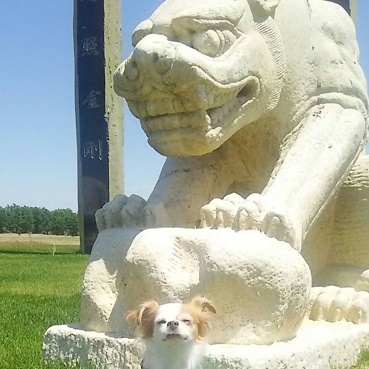 64c9d814 4efc 426a a1a4 8417fc55a1b2