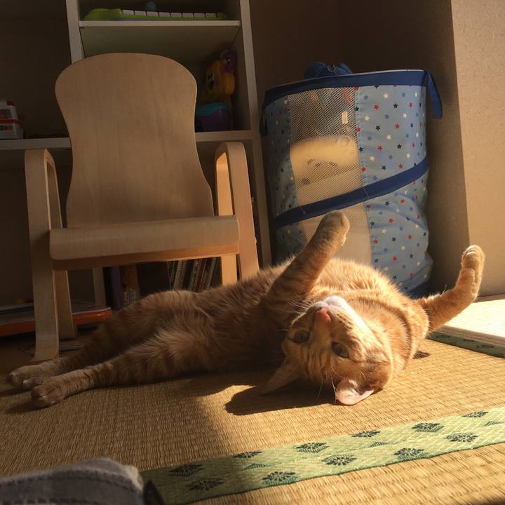 64ca753c ede9 4df9 a5bf 43d9f937326e