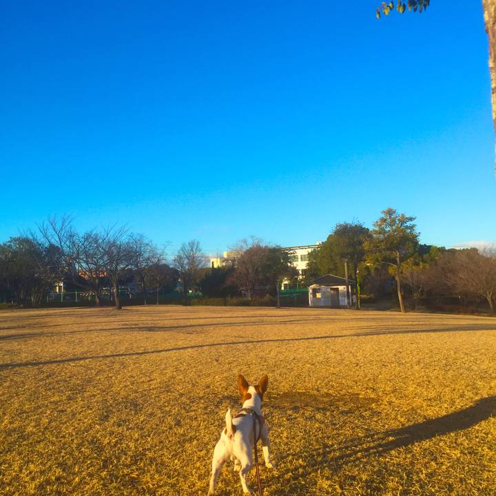 64cab156 bc7b 456a acbc 7adb8991e6c3