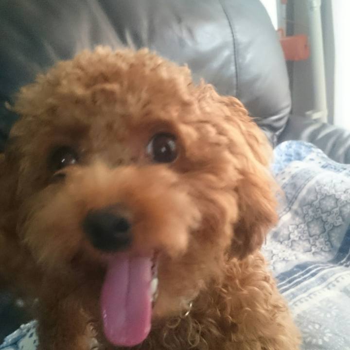 64cb2529 4086 473d a0ed 17d6d2f8e87d