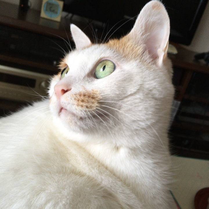 64cbb509 976e 4941 868e ac32061474d7