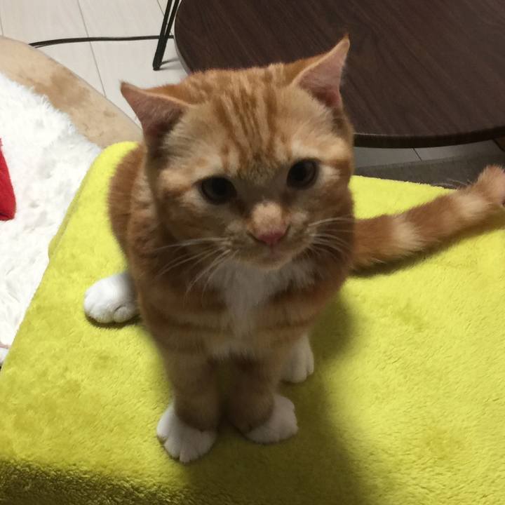 64ccfb49 5a26 4e39 a43e f113a1fd85d5