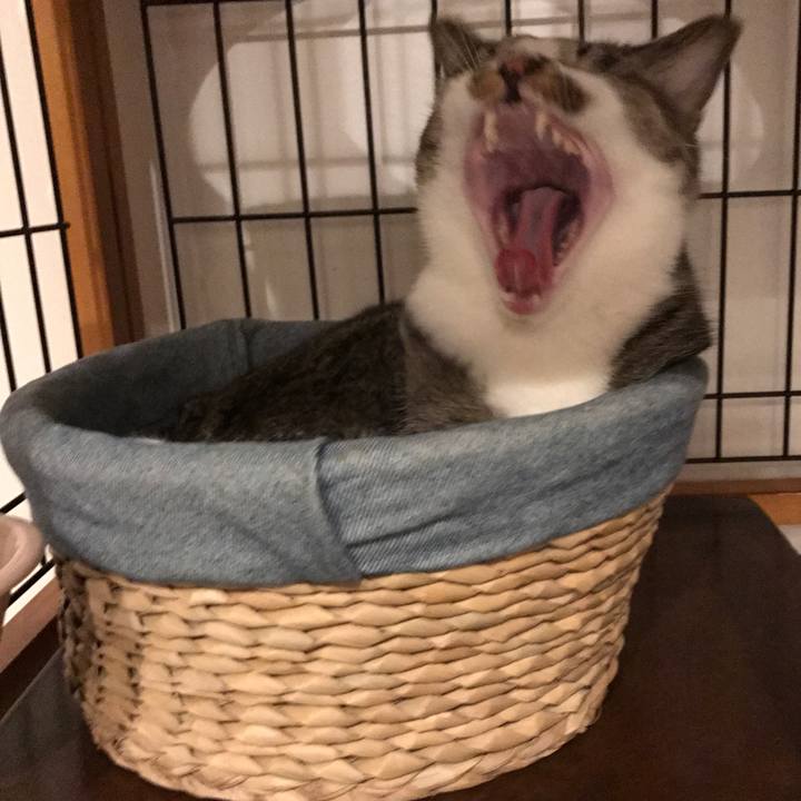 64cd2a41 de04 4516 b563 627ea5384a79