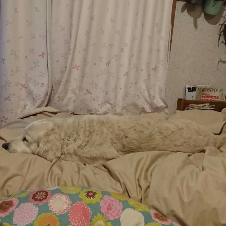 64cdff8b 6b7c 4200 aef4 ff8120c13dd9