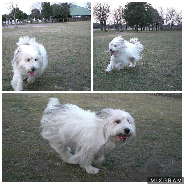 64ce4fb2 edfd 4471 91c3 0700a242f7f3