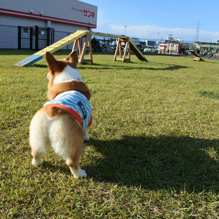 64ce56b2 bbc9 4e55 bced ef47f1be9e17