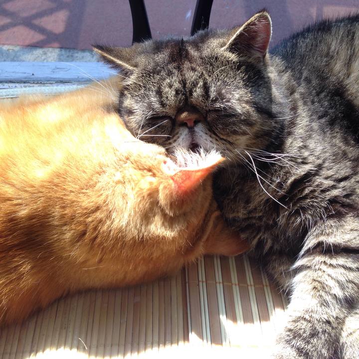 64ce9546 04b8 4868 b48b 64b777bf77c5