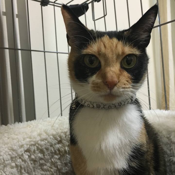 64ce970c e18f 4bd9 b875 b862b919c9fe